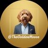 thegoldenmoose